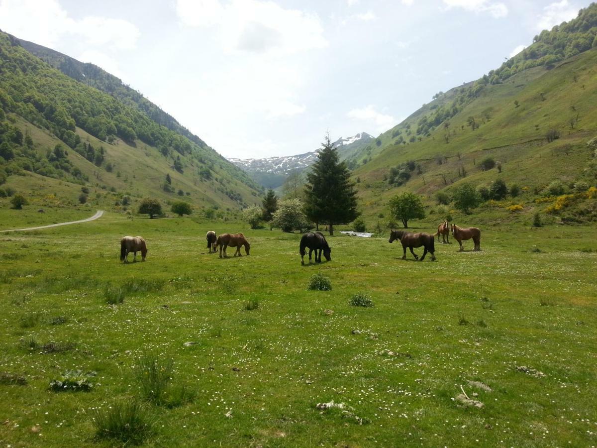 Gite De Montagne Du Plateau De Lhers- Accueil Randonneurs Hotel Accous Exterior foto