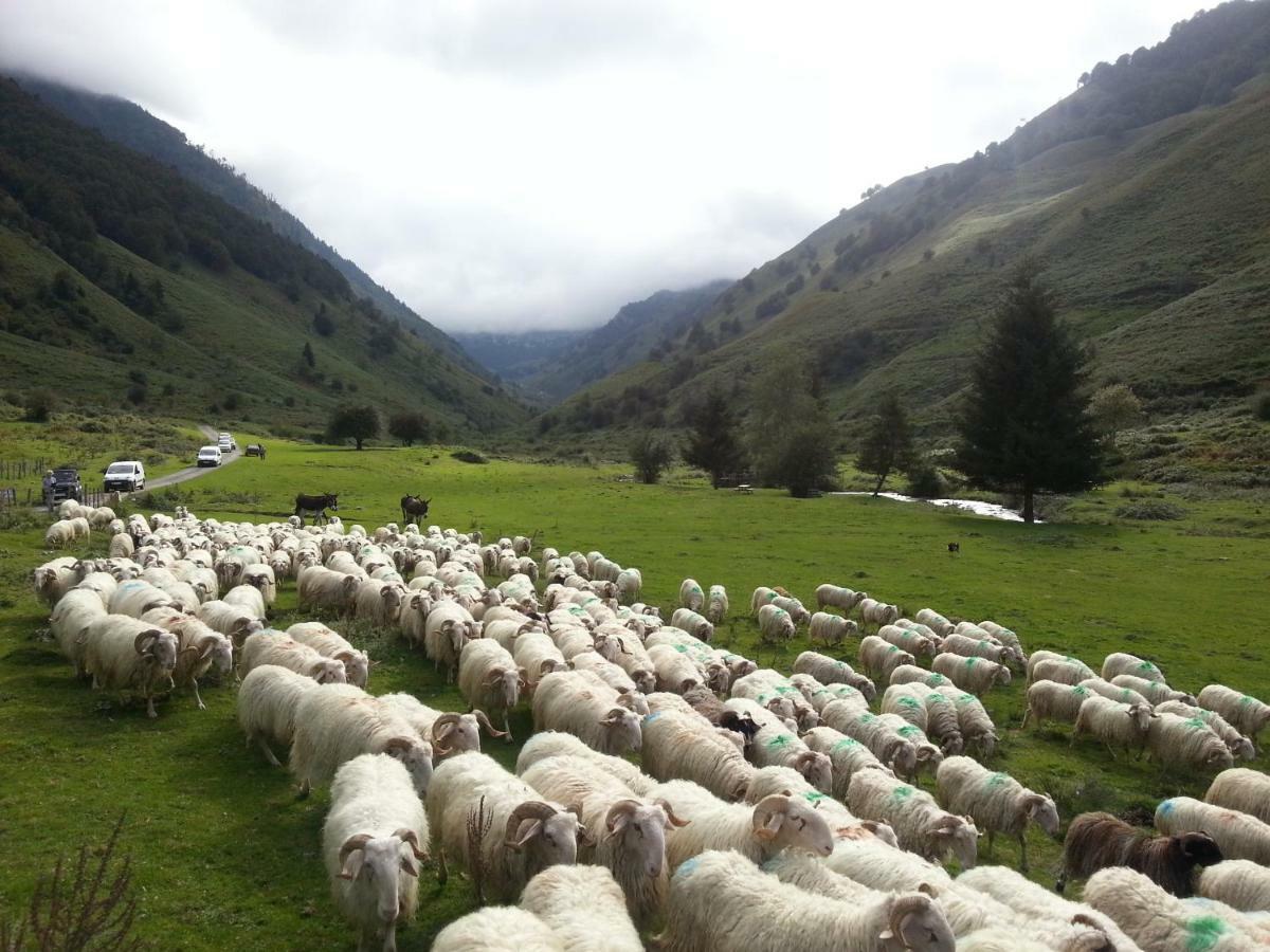 Gite De Montagne Du Plateau De Lhers- Accueil Randonneurs Hotel Accous Exterior foto