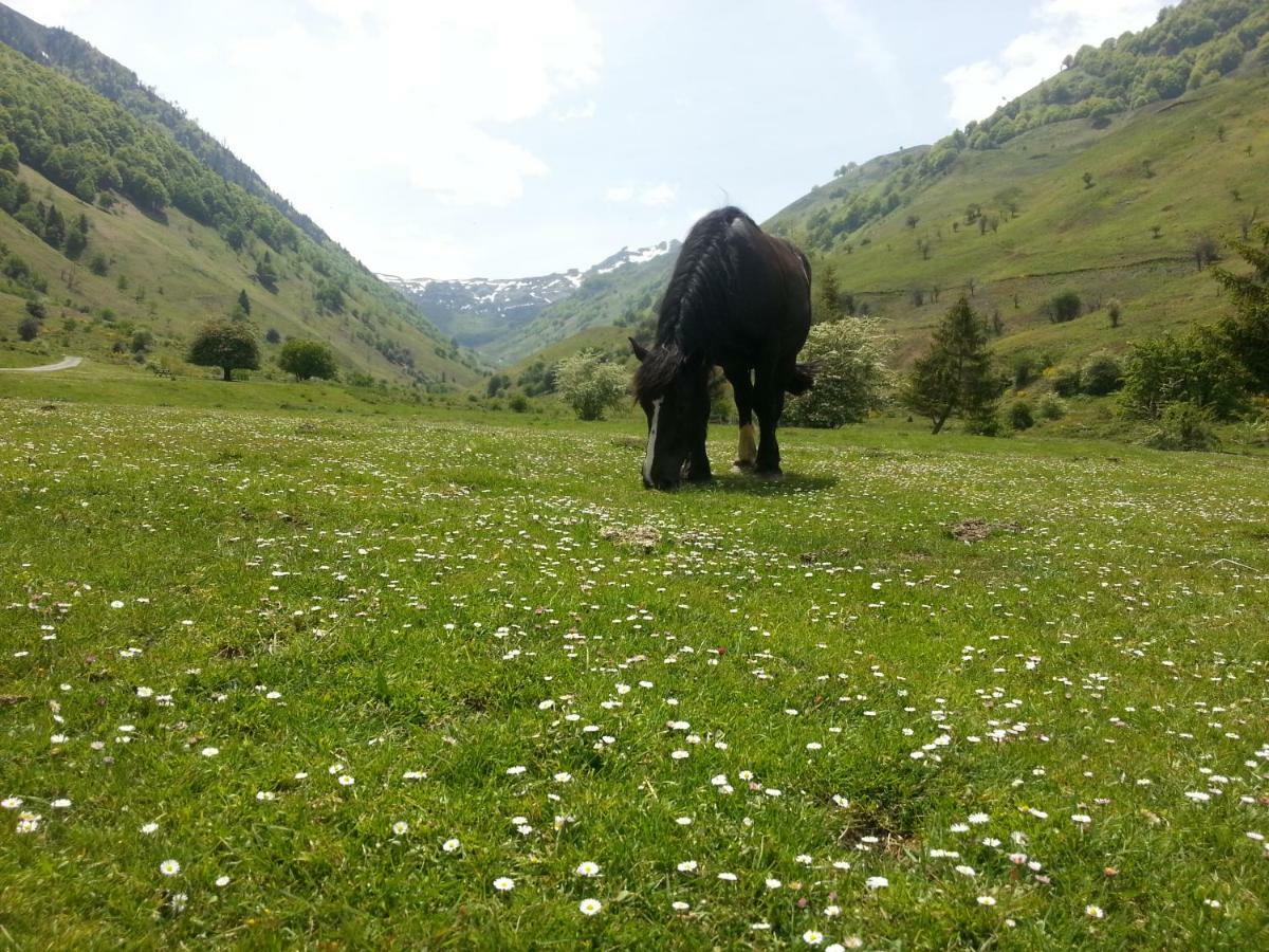 Gite De Montagne Du Plateau De Lhers- Accueil Randonneurs Hotel Accous Exterior foto